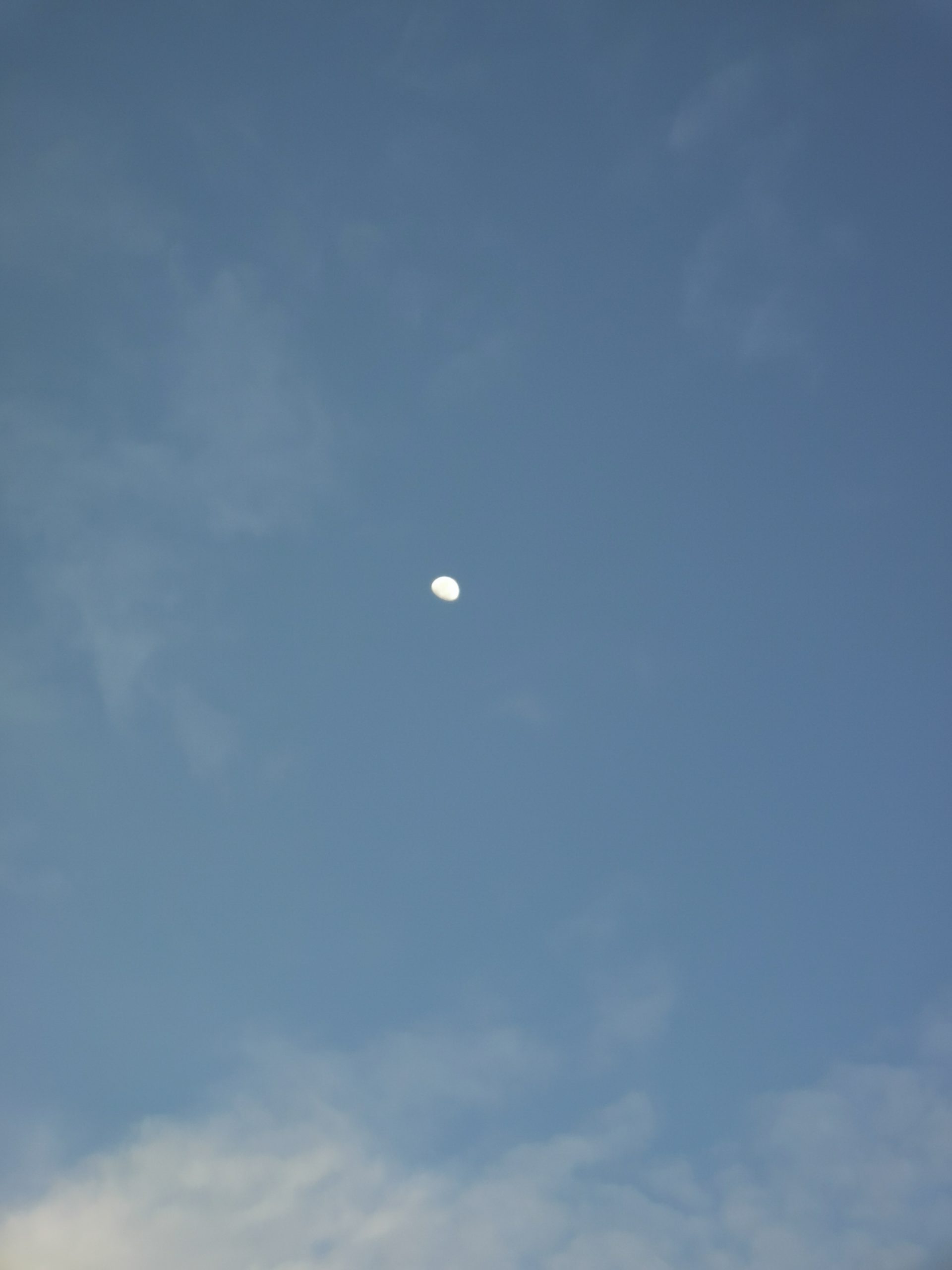 IMG_20230728_181334