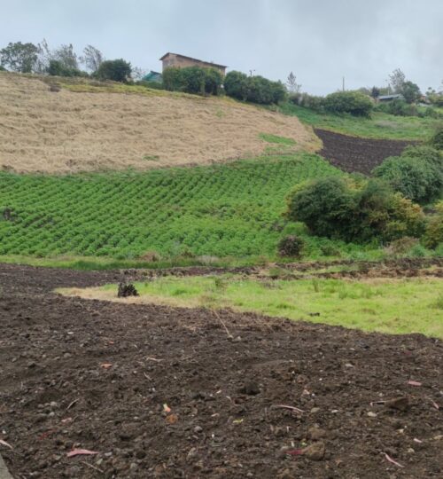 Tierras aptas para cultivos.