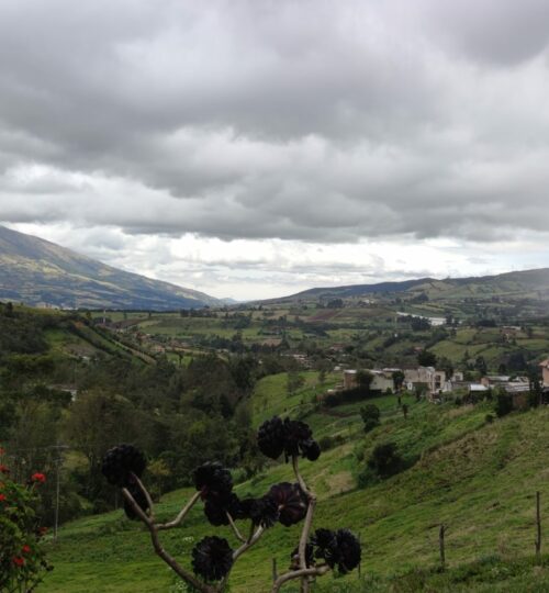 IMG_20230723_112629 - Copia