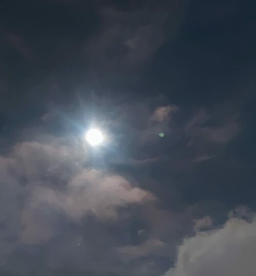 IMG_20230804_053733