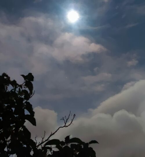 IMG_20230804_053824