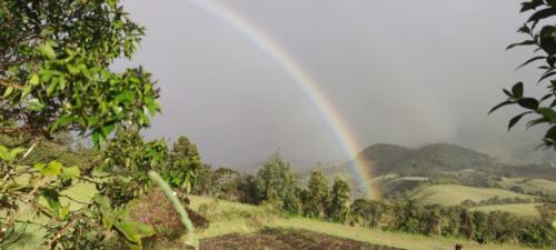 IMG_20230724_173928
