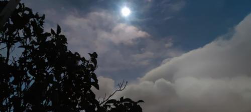 IMG_20230804_053824