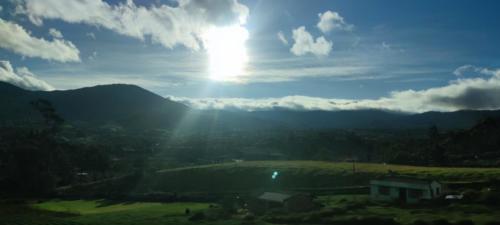 IMG_20230810_071308